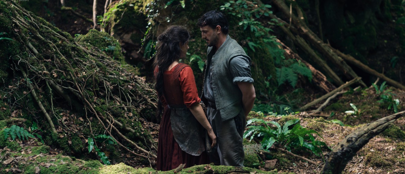 Accessibility at QFT January 2026